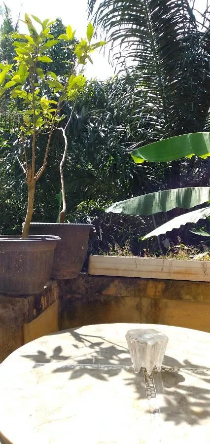 Penzion Hotel Suweta46 House Ubud