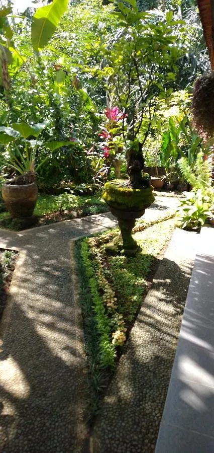 Penzion Hotel Suweta46 House Ubud