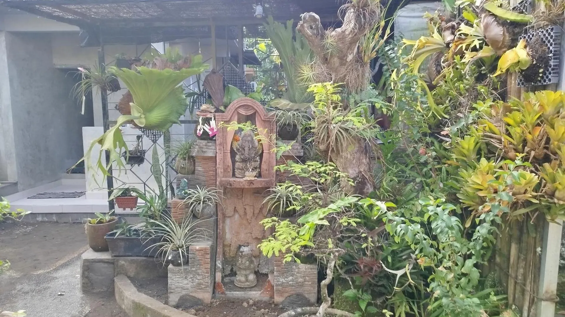 Penzion Hotel Suweta46 House Ubud Indonésie
